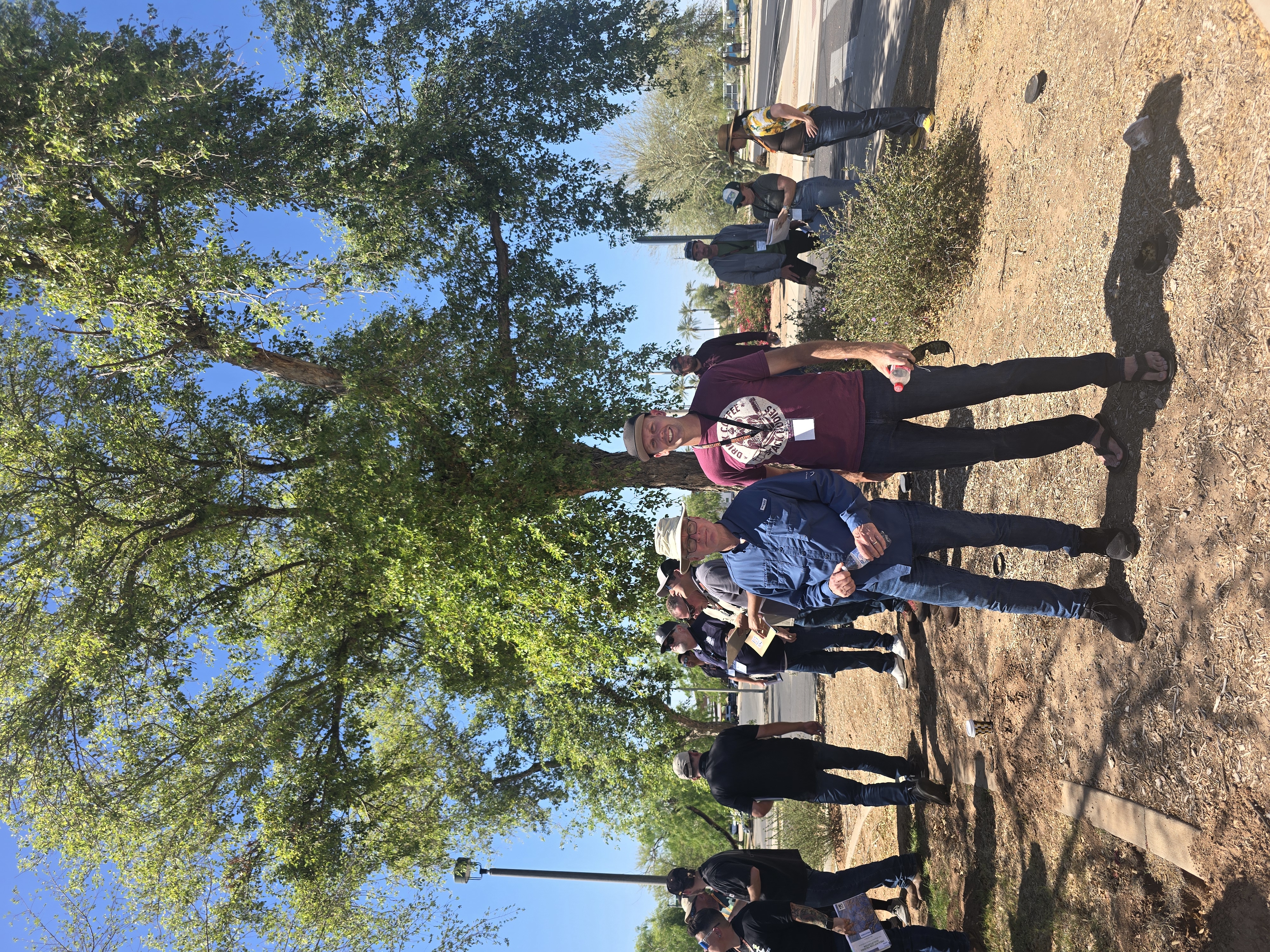 Arborist field training and professional tree assessment setting