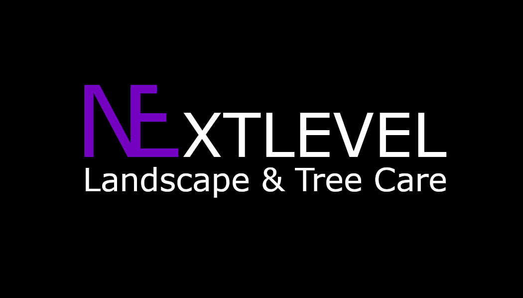 NEXTLEVEL Landscape & Tree Care