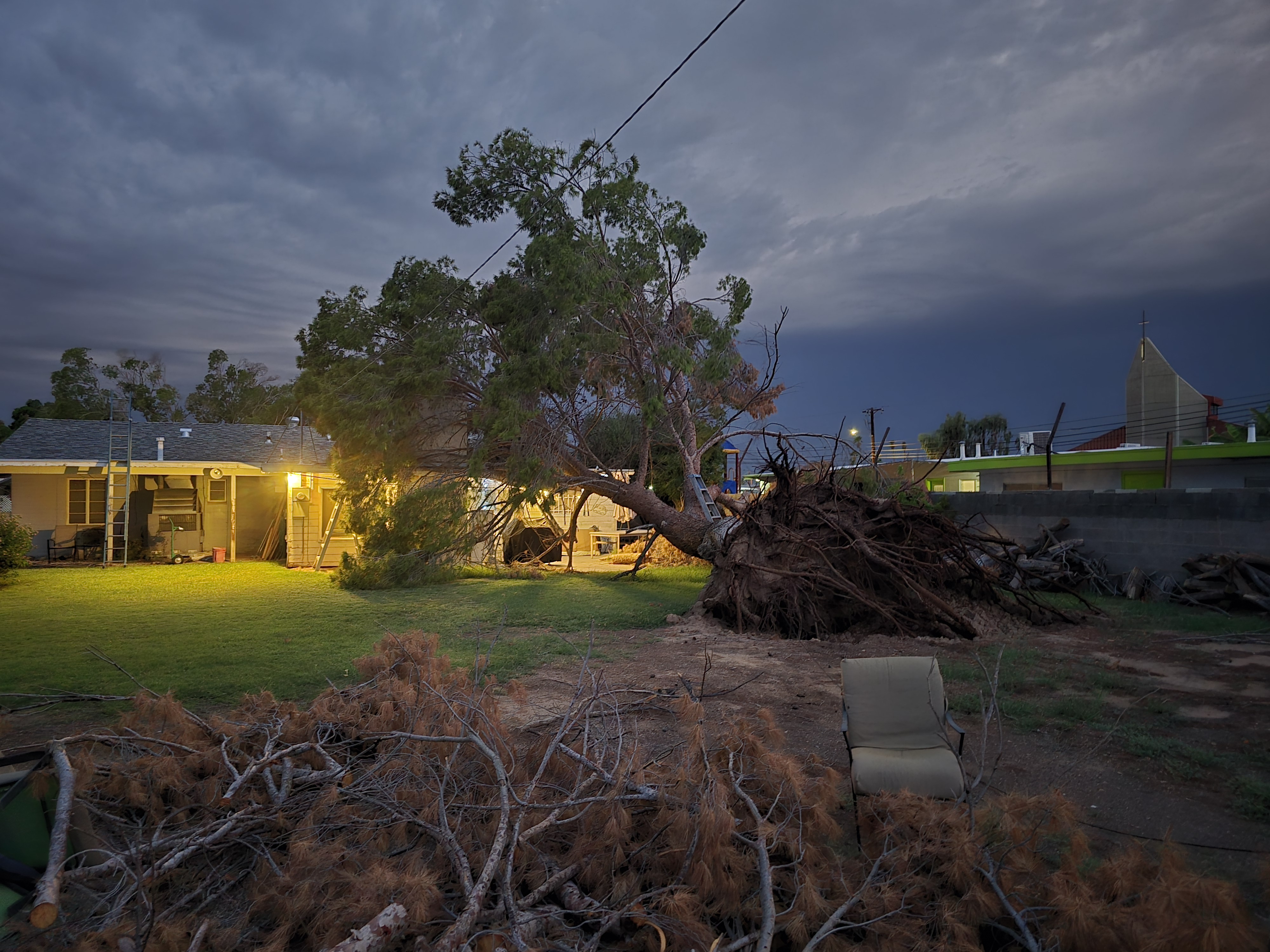 Storm-damaged tree and debris before emergency cleanup