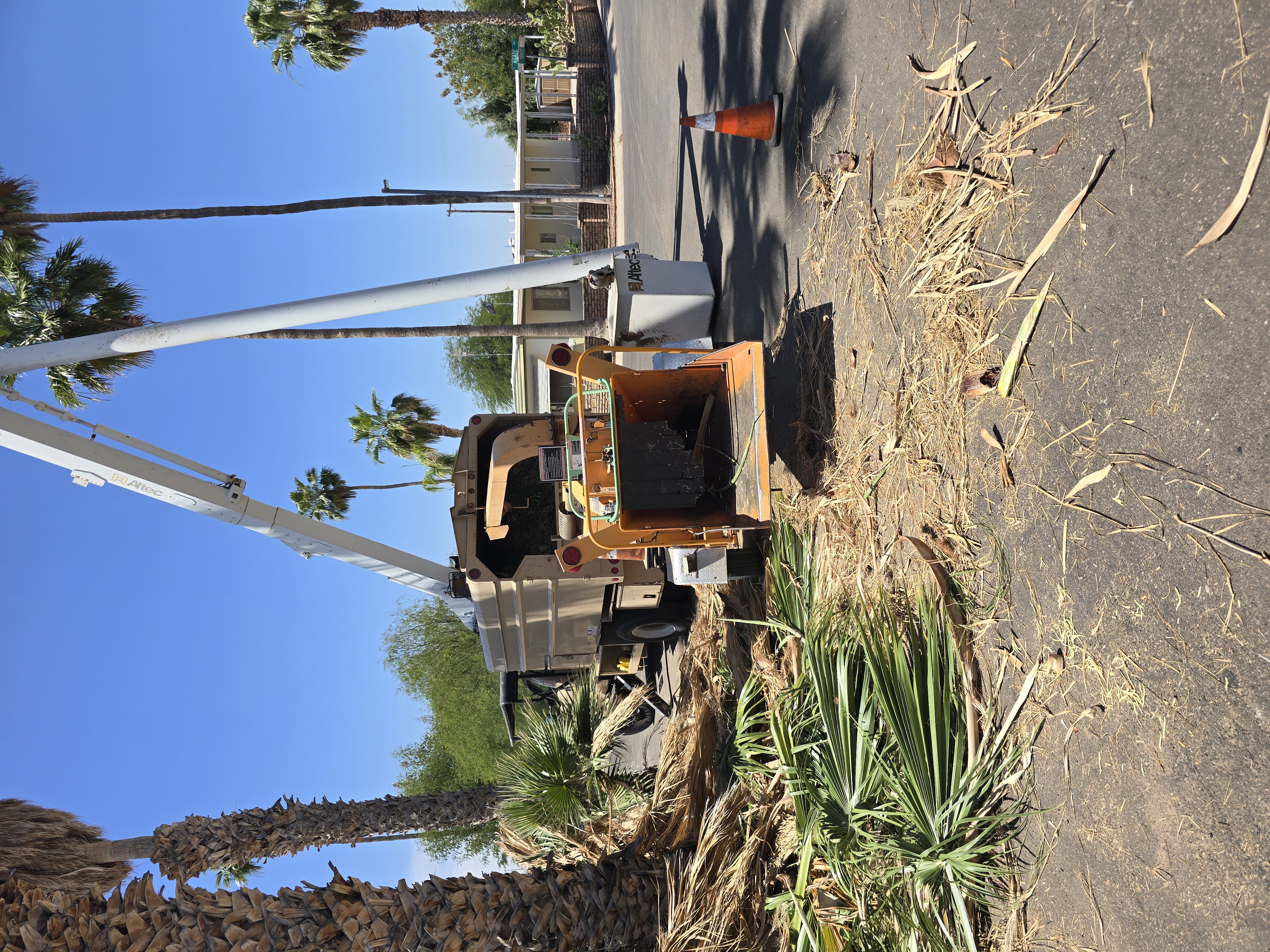 Bucket truck and chipper staged with cones for professional tree care